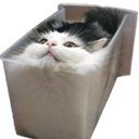 catbinq Slack emoji