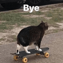 catbyeq Slack emoji