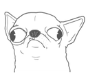 chihuahuaderpq Slack emoji