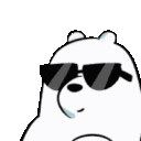 polar q Slack emoji