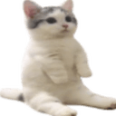 verycomfortableq Slack emoji