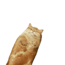 breadcatq Slack emoji