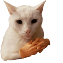 cathandsq Slack emoji
