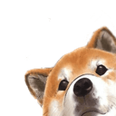 hi shibaq Slack emoji