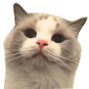 kittylookq Slack emoji