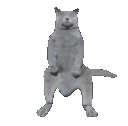 catnaenaeq Slack emoji