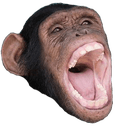 moneylaughq Slack emoji