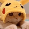 catpikachuq Slack emoji