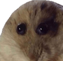 sadham q Slack emoji