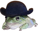 froghat q Slack emoji