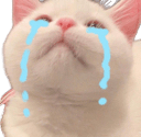 catcriq Slack emoji