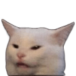 confused cat Slack emoji