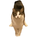 cat tr stance Slack emoji