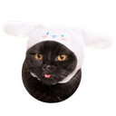 sanrio catq Slack emoji
