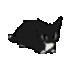 maxwelldanceq Slack emoji