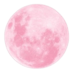 moon pinkq Slack emoji