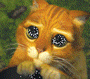 puss q Slack emoji