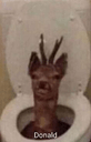 toiletdeerq Slack emoji