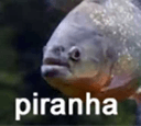 piranhaq Slack emoji