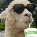 llama q Slack emoji