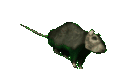 ratspinq Slack emoji