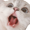 scream q Slack emoji