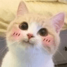 blush6q Slack emoji