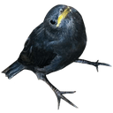blkbirdq Slack emoji