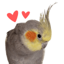 birb luvq Slack emoji