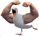 birdstrongq Slack emoji