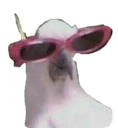 glassesbirds Slack emoji