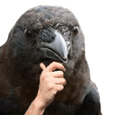 birb thinkingq Slack emoji