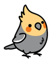 cockatiel smile wave Slack emoji