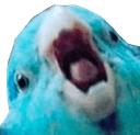 bird open mouth shout Slack emoji