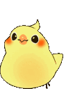 birdiq Slack emoji