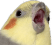 shook birbq Slack emoji