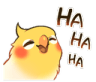 birb laughq Slack emoji