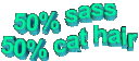 50sass50catq Slack emoji