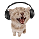 silly music catq Slack emoji