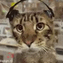 acat musicq Slack emoji