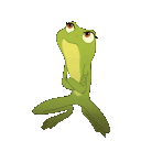 frog shakeq Slack emoji