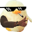 shake duckq Slack emoji