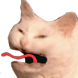 cattongue1q Slack emoji