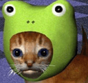 froghatcatq Slack emoji