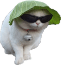 catlettuceq Slack emoji