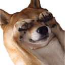 dogecantlookq Slack emoji
