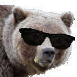 coolbearq Slack emoji