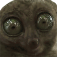 monkeyeyesq Slack emoji