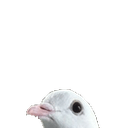 birbheadq Slack emoji
