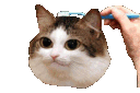 brushcatq Slack emoji
